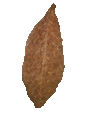 Buy Fronto Leaves (DAC) at Leaf Only - Your Number One Source for Tobacco Leaf