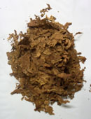 Processed Burley Tobacco, Light Air Cured Burley Tobacco