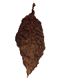 Buy CT Aged Wrapper Binder and Filler Leaves. Leaf Only is Your Number One Source for Tobacco Leaf