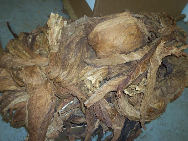 Fronto Leaf Scraps - Cheap Fronto Leaves
