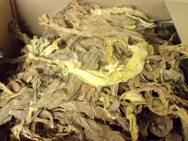 Unsorted Tobacco Leaf Scrap - All Varieties