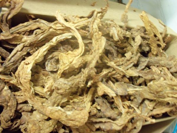 Burley Tobacco Leaf Scraps