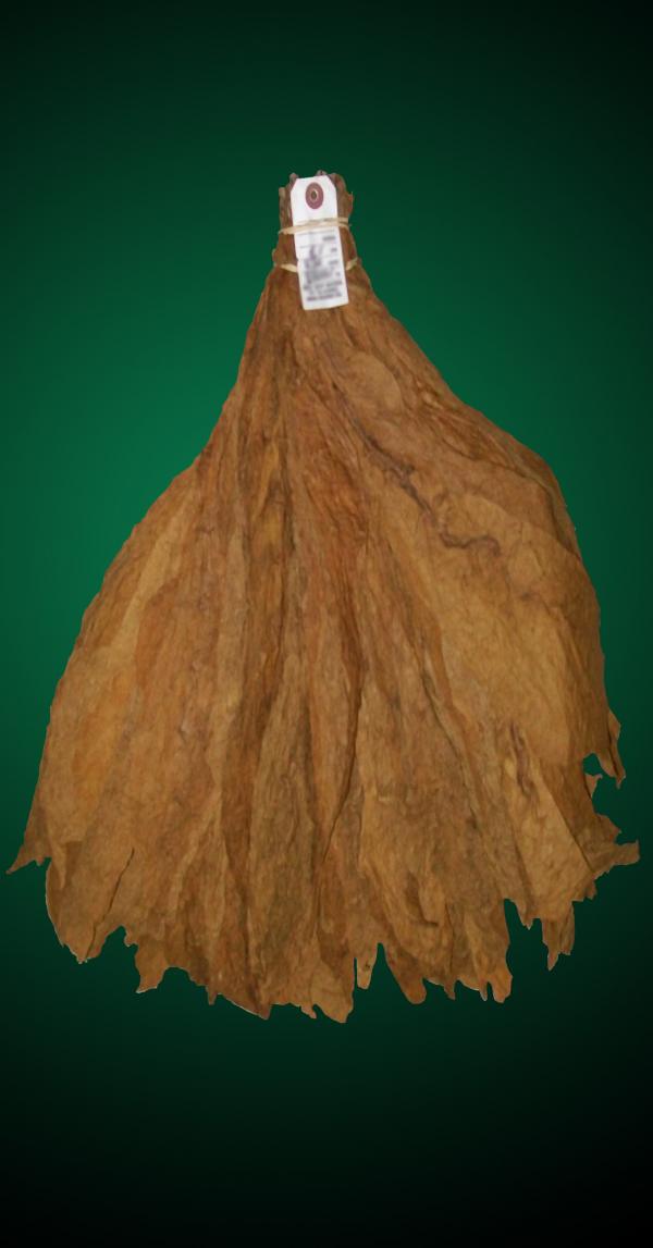 CT Shade Leaf Tobacco CT Shade Leaf Tobacco
