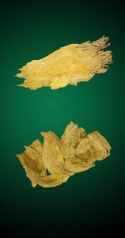 Turkish Combo - Raw Tobacco Leaves