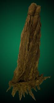 Dark Air Cured Fronto Leaves