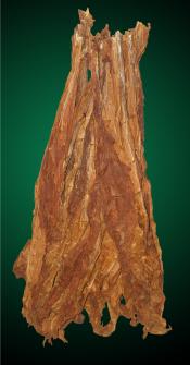 Fronto / Dark Air Cured 2011