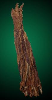 Fronto Dark Air Cured 2012 (ALO)