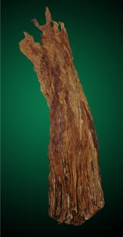 Fronto Dark Air Cured 2012 (CLO)
