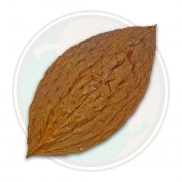 Connecticut Havana Primed Cigar Leaf