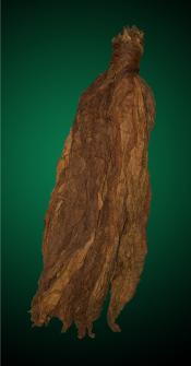2DW Maduro Cigar Wrapper Tobacco Leaf