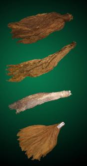 Connecticut Combo - Natural Tobacco Leaf Connecticut Combo - Raw Tobacco Leaves