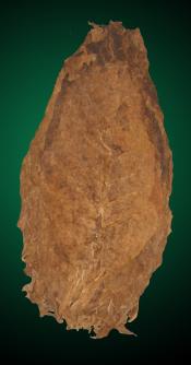 Aged Nicaraguan Cigar Filler Tobacco Leaf - MYO Premium Cigars