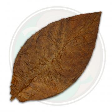 CT Broadleaf Cigar Wrapper - 1LS