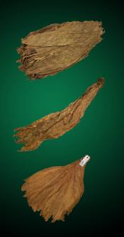 Mild Combo - Natural Tobacco Leaf Mild Combo - Raw Tobacco Leaves