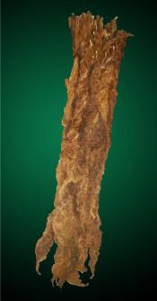 Fronto / Dark Air Cured - Aged (S1)
