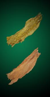 Brightleaf Sweet Special Combo - Natural Tobacco Leaves
