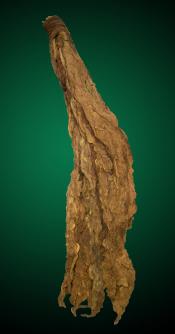 2LS Cigar Binder Tobacco Leaf - Binder Leaf for Making Your Own Cigars