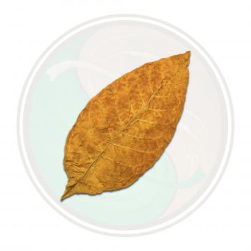 Brightleaf Sweet Virginia Flue Cured Whole Tobacco Leaf