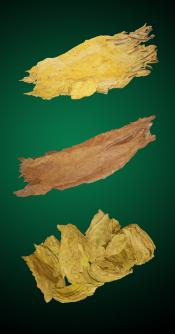 Turkish Special Combo - Raw Tobacco Leaves