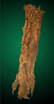 Fronto / Dark Air Cured - Aged