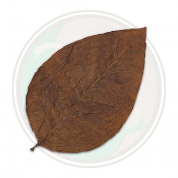 Indonesian Bezuki Cigar Wrapper Whole Tobacco Leaf