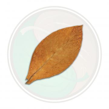 Semi Oriental Whole Tobacco Leaf