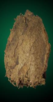 Aged Dominican Ligero Cigar Filler