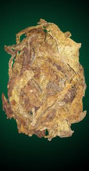 American Virginia Flue Cured