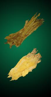 Brightleaf Smooth Combo - Raw Tobacco Leaves