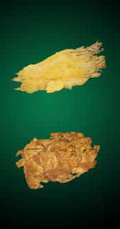 Canadian Combo - Natural Tobacco Leaves