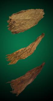Bold Fire Combo - Natural Tobacco Leaf Bold Fire Combo - Raw Tobacco Leaves