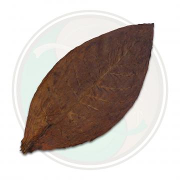 Colombian Cigar Binder Whole Tobacco Leaf