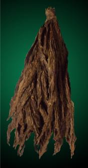 CT Fronto Tobacco Leaves, CT Tobacco Leaf, CT Fronto, Fronto