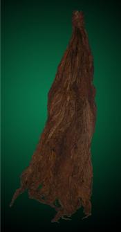 Dark Fire Cured Fronto Leaves