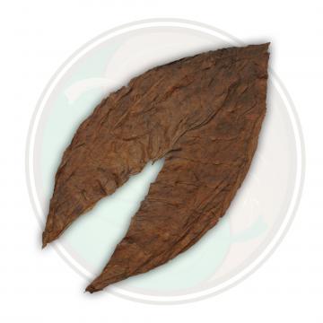 Dominican Seco Criollo '98 Cigar Filler Tobacco Leaf
