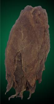 Honduran Viso Cigar Filler Tobacco Leaf Unmanufactured Tobacco Leaf - Honduas Viso for Cigars
