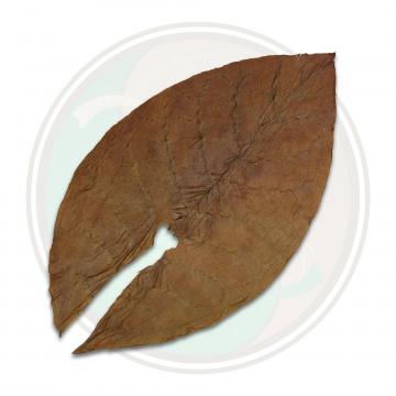Indonesian Sumatra Seco Cigar Filler Tobacco Leaf