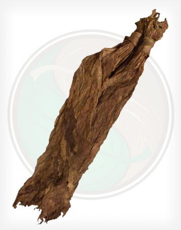QB 52 Fronto Leaf Wrapper Tobacco Leaf