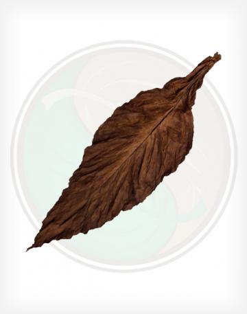 QB-52 Fronto Leaf Wrapper Opened Whole Leaf Tobacco for Packaging.