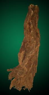 Medium CT Broadleaf Sample