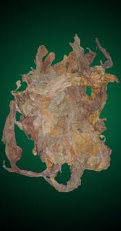 Broad Leaf Scraps Samples