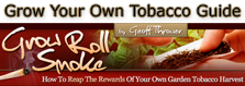 Growing Your Own Tobacco - All Natural Whole Leaf Tobacco Growing Guide