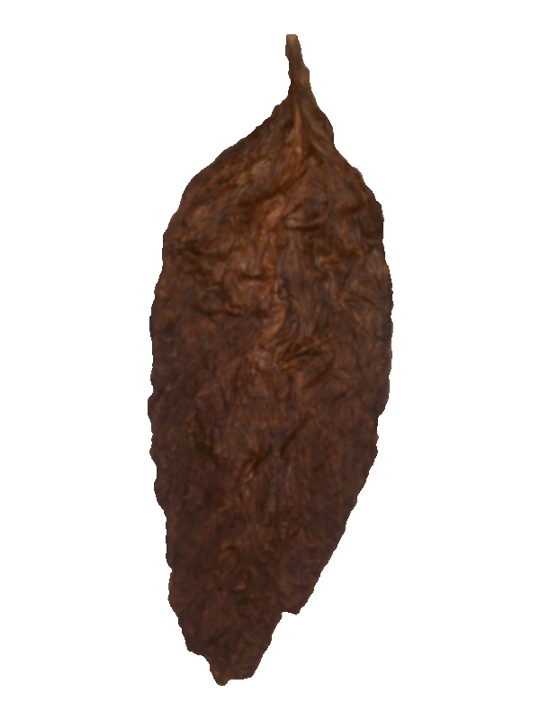 Whole Leaf Tobacco Sales, Raw Tobacco Leaf.