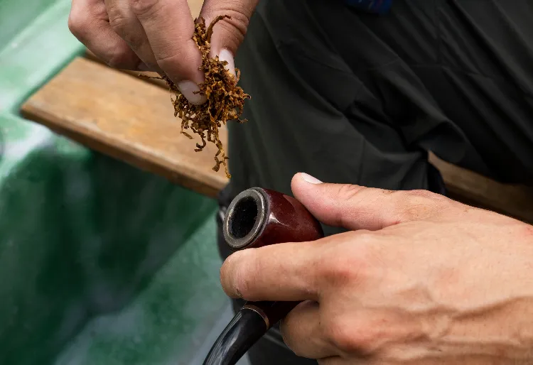 Blending Your Own Pipe Tobacco: A Beginner's Guide to Whole Leaf Components
