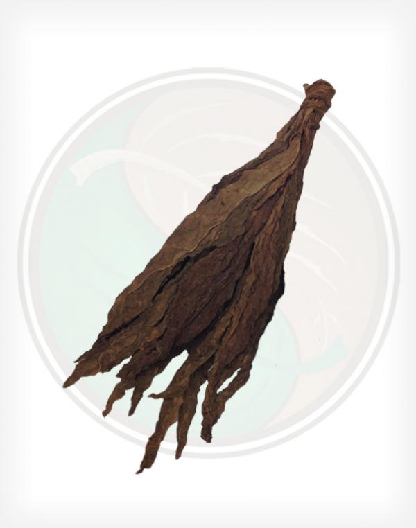Connecticut 1LS Cigar Binder Whole Raw Leaf Tobacco Connecticut 1LS Cigar Binder Whole Raw Leaf Tobacco