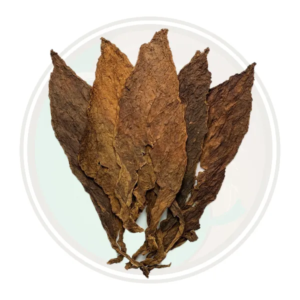 Connecticut Broadleaf Seco Cigar Filler Whole Leaf Tobacco for Roll Your Own Cigars Leaf Only