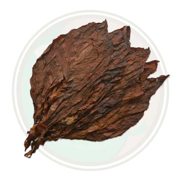 Nicaraguan Viso Condega Cigar filler Whole Leaf Tobacco Leaf Only Roll your own cigars
