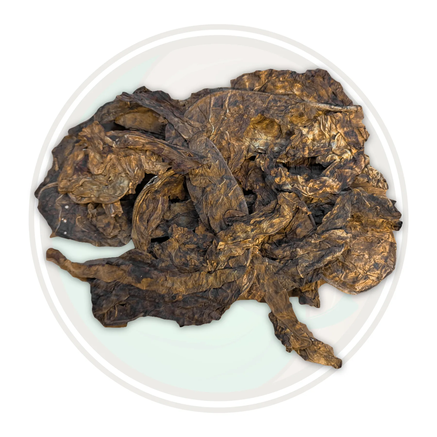 mapacho tobacco near me Nicotiana Rustica Wild Tobacco Aztec Tobacco Ucuch mapacho thuoc lao