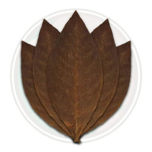 Mexican San Andreas Binder Tobacco Leaf