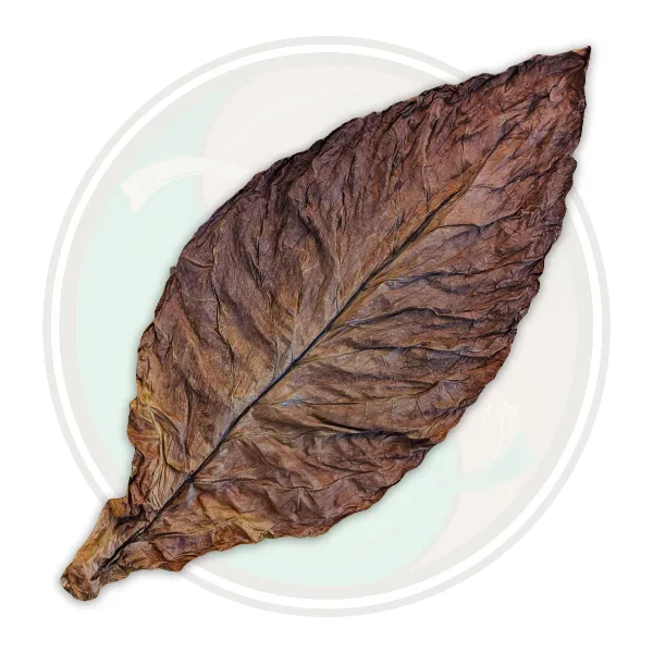 Leaf Only Pennsylvania USA Fronto Cigar Wrapper Whole Leaf Tobacco for Roll Your Own